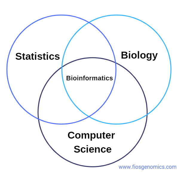 What Is Bioinformatics?