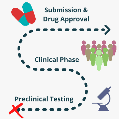 Stages Of Drug Development