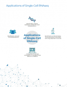 page 1 single cell rnaseq analysis whitepaper