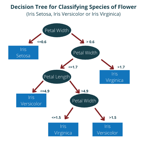 Machine Learning Model Example: Decision Tree