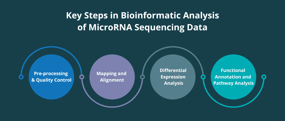 This images show the key steps of bioinformatics analysis of MicroRNA Sequencing data (pre-processing & quality control, mapping and alignment, differential expression analysis and functional annotation and pathway analysia set of four circles.